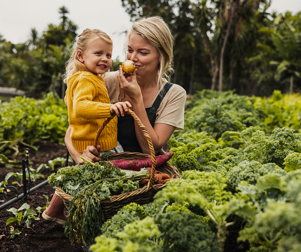 Mother and daughter harvesting vegetables in garden