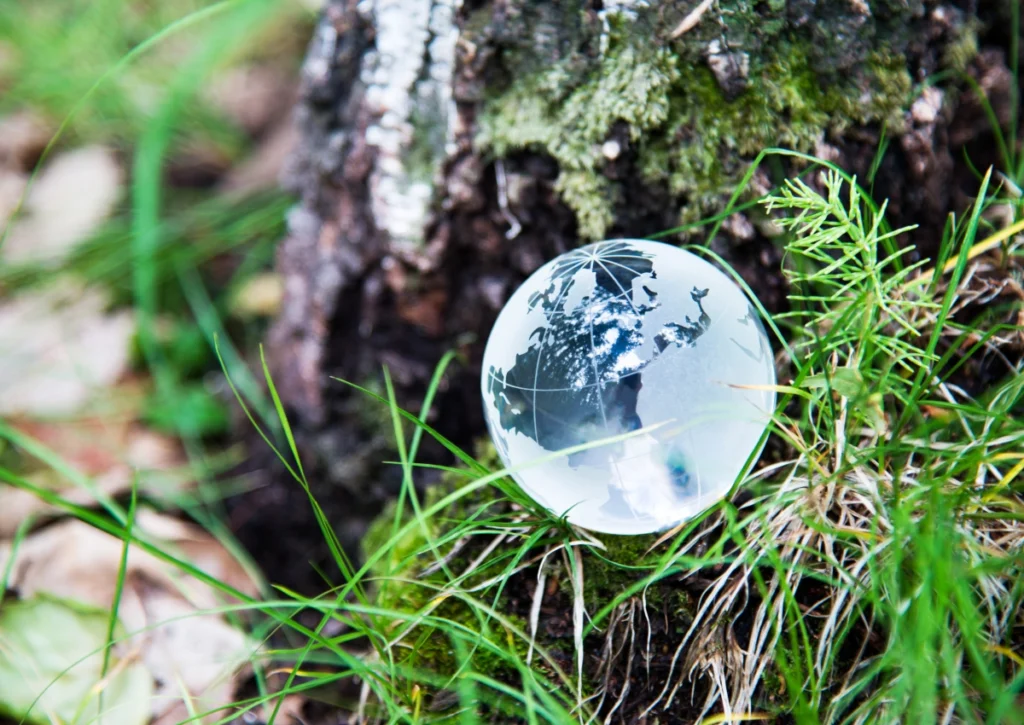 Crystal world globe resting on moss